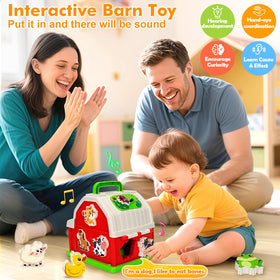 Toidgy shape sorting feature promotes basic cognitive skills and problem solving.