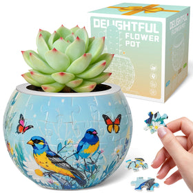 Tonadeat 3D puzzles flower pots show a family friendly planter ready for creative assembly