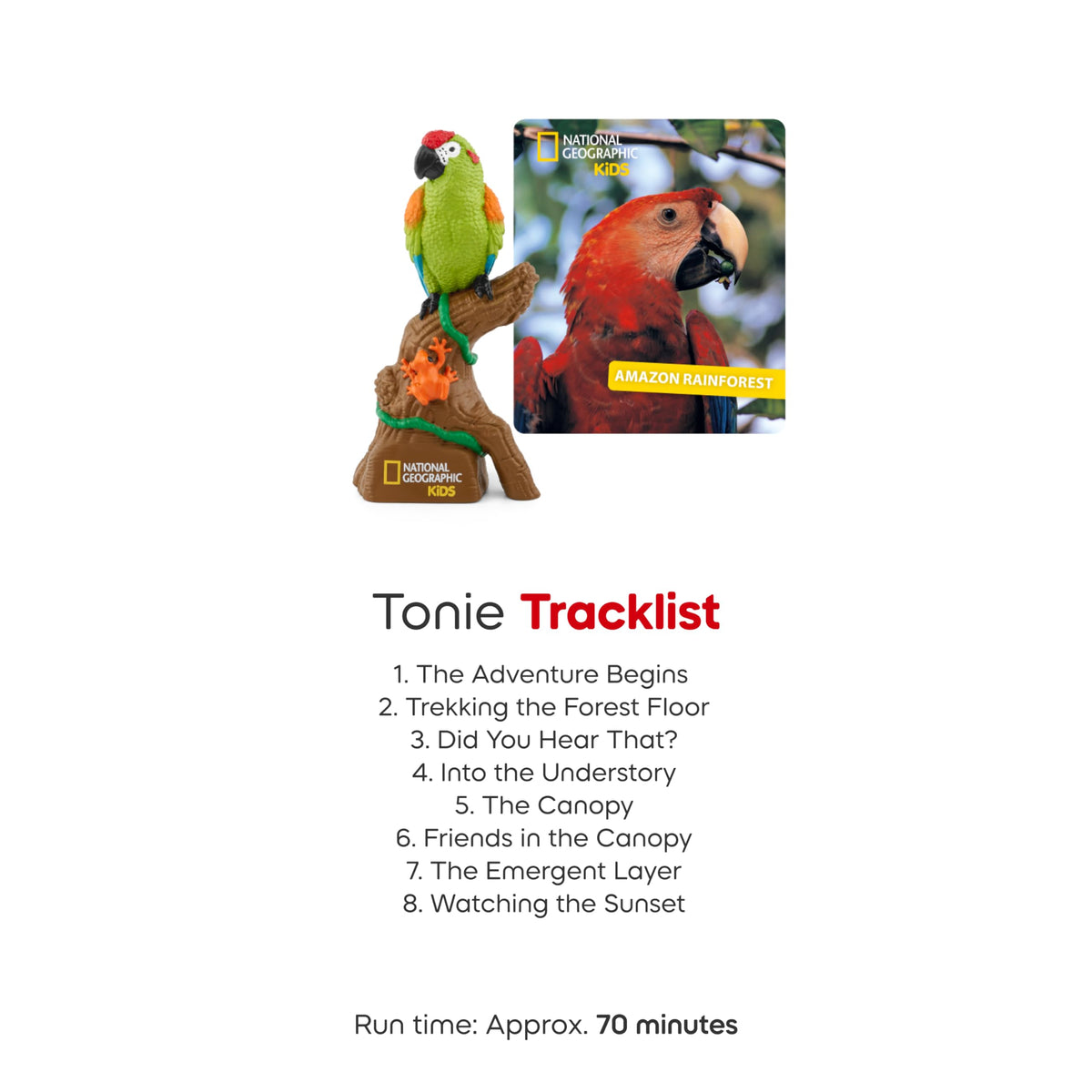 Tonies ecosystem teaching focus image supports basic ecological concepts.