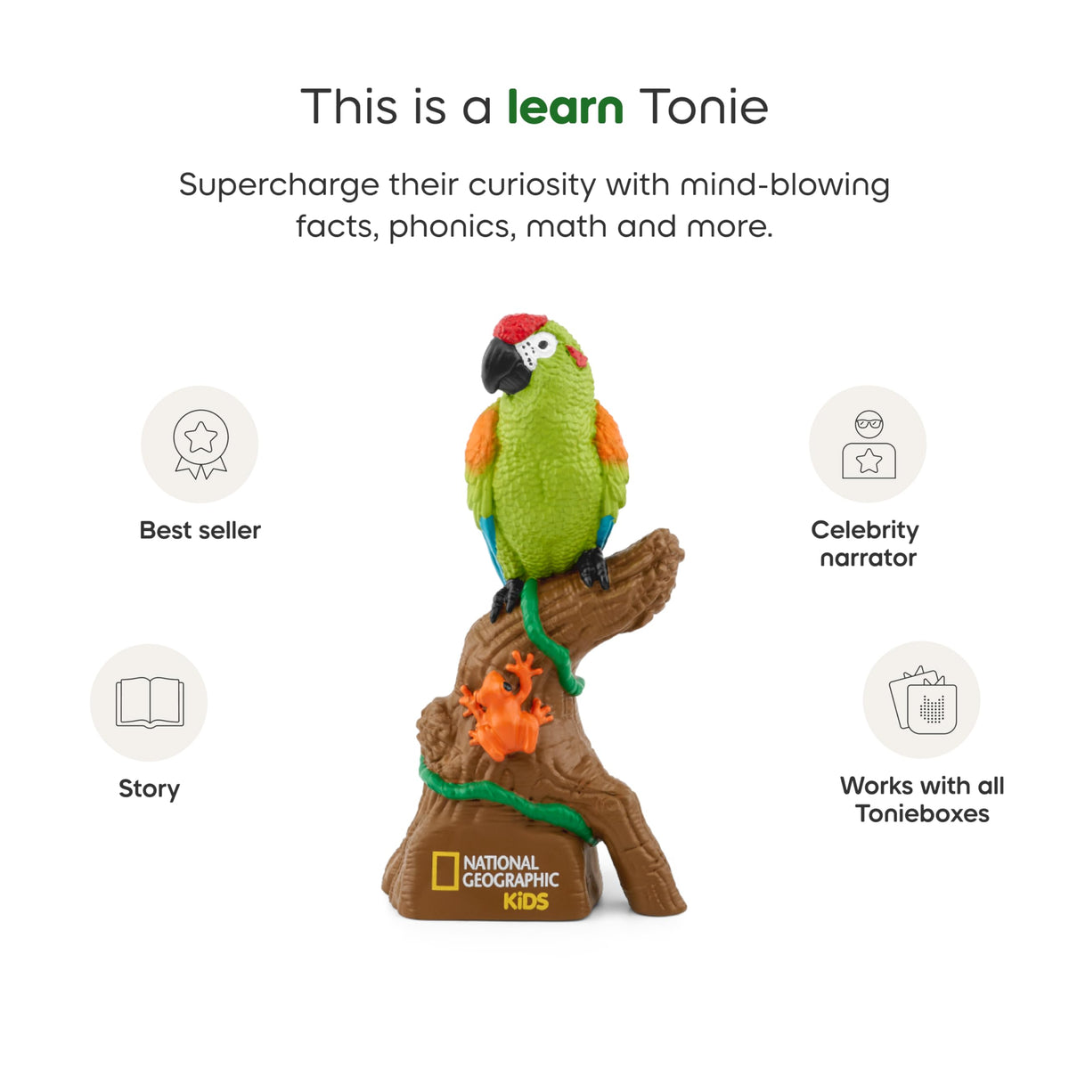 Tonies spiders close-up reveals rainforest biodiversity in a kid-friendly format.