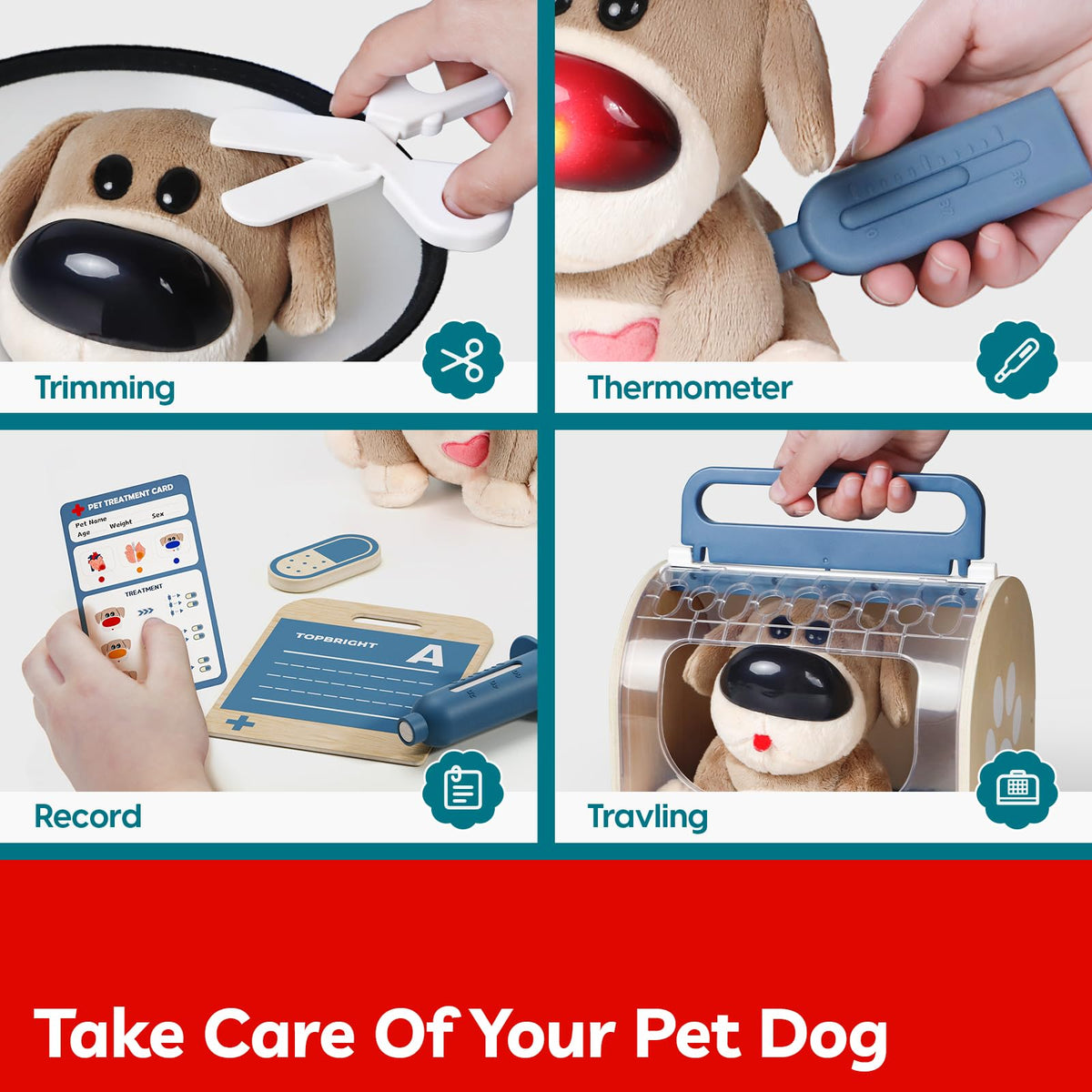 TOP BRIGHT lights-and-sounds puppy for engaging interactive play.