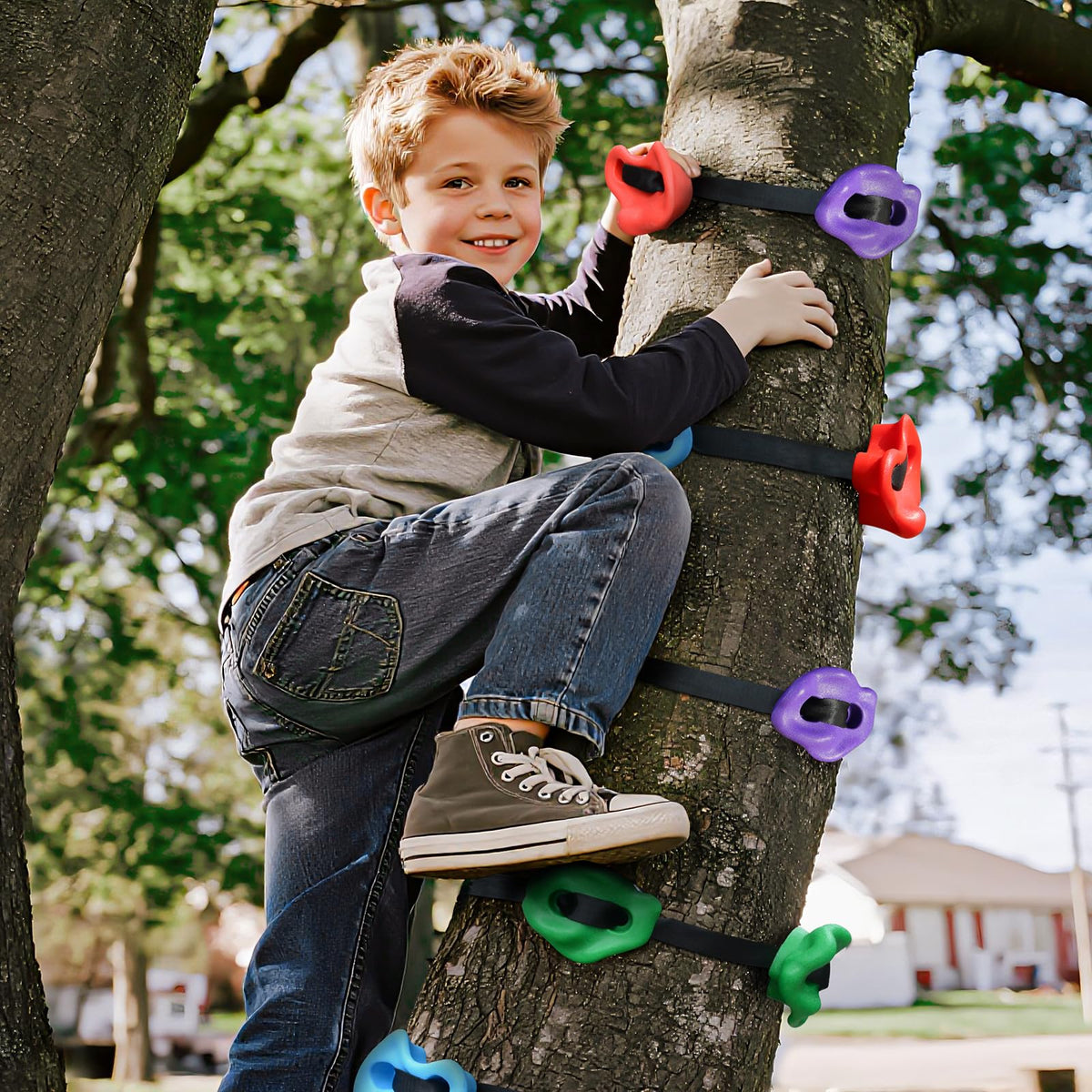 Topnew Holds on a tree setup visualize sturdy backyard climbing installations.