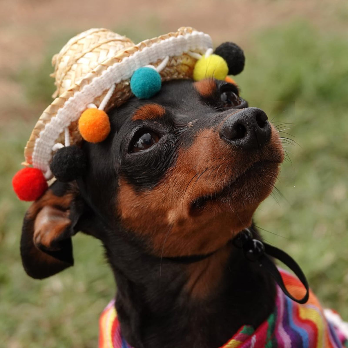 TOPZEA red fabric sombrero headband adds playful charm to photos