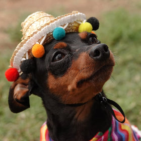 TOPZEA red fabric sombrero headband adds playful charm to photos