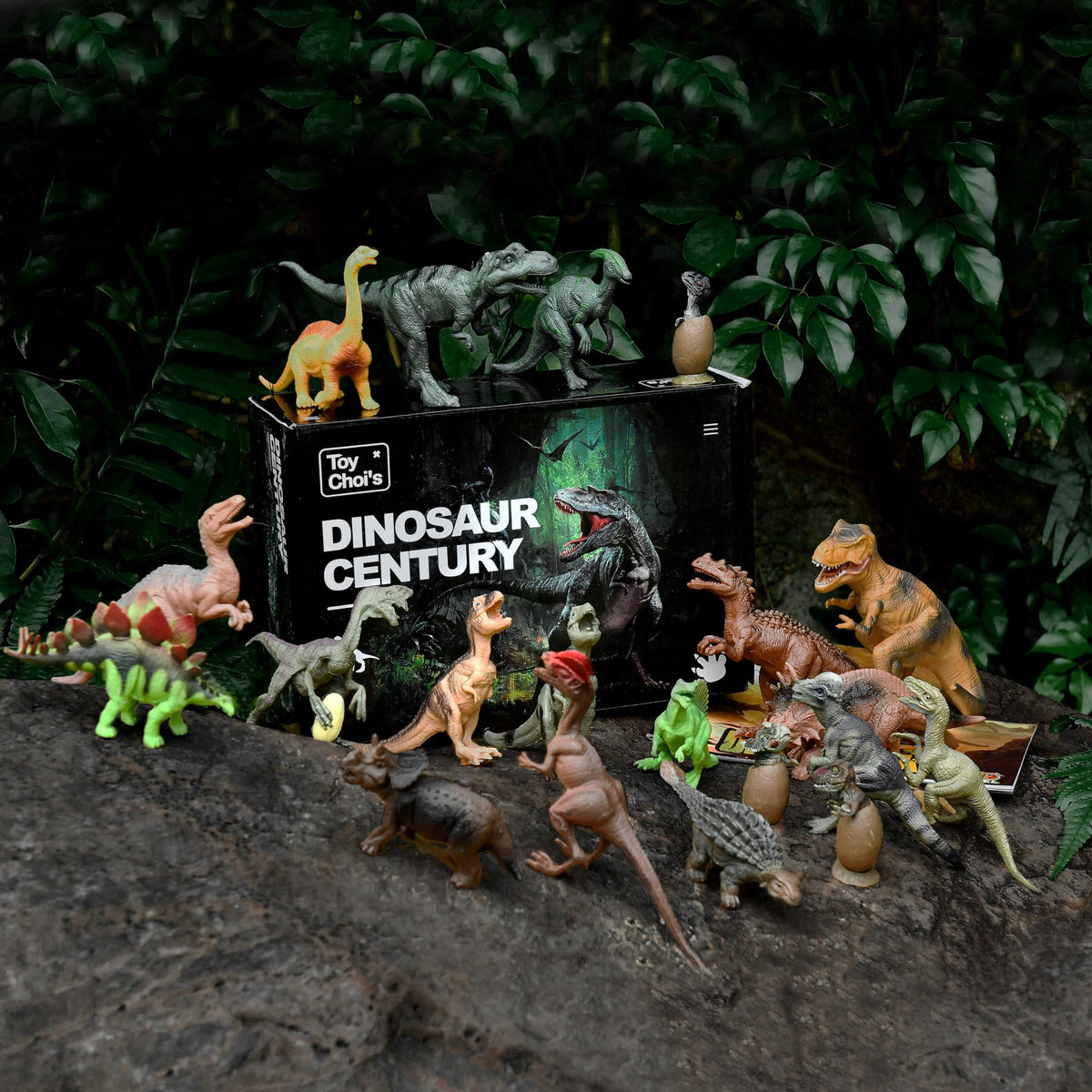 Toy Choi's display box doubles as storage and gift-ready packaging.