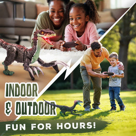 Toy Feast RC dinosaur remote control for simple, kid friendly operation.