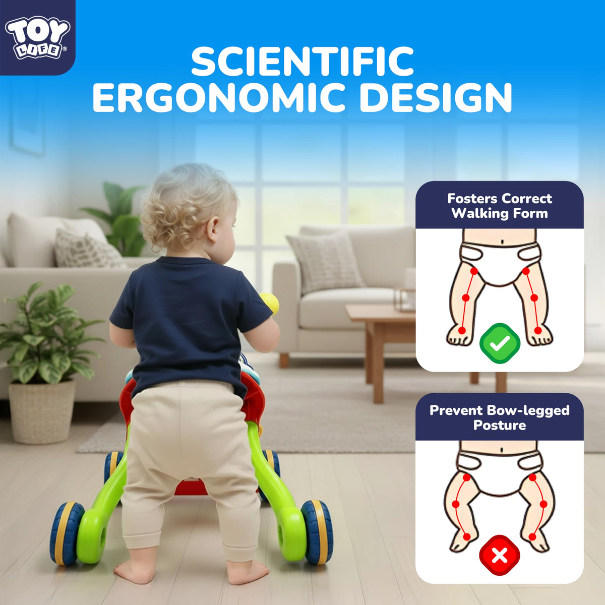 TOY Life adjustable handle height fits growing babies for comfortable pushing.