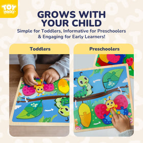 TOY Life Life Cycle chicken hatching puzzle: hands-on exploration of natural change.
