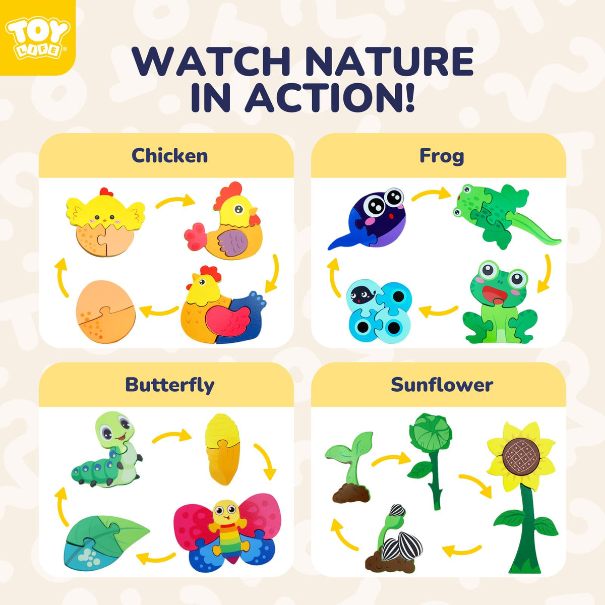 TOY Life Life Cycle frog metamorphosis puzzle: engaging stages develop fine motor skills.