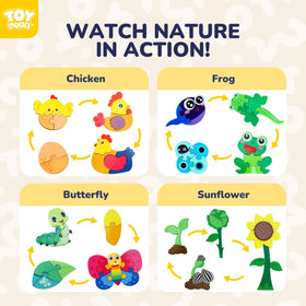 TOY Life Life Cycle frog metamorphosis puzzle: engaging stages develop fine motor skills.