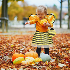 Toycost Butterfly dress-up costume set for bright storytelling.