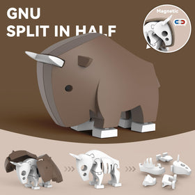 Toycost internal bone-structure view sparks anatomy-curious play