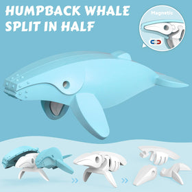 Toycost magnetic ocean cachalot: sturdy shell and embedded magnets for secure play.