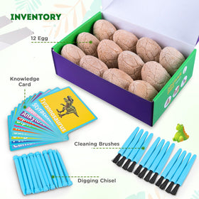 Toyk Dinosaur figure emerging from egg inspires imaginative play.