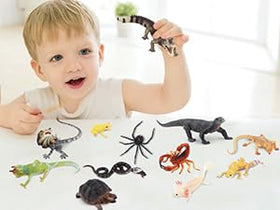 Toymany Bearded Lizard figure shows realistic color for learning.