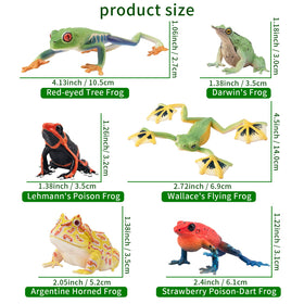 Toymany American Bullfrog figure for garden decor and play