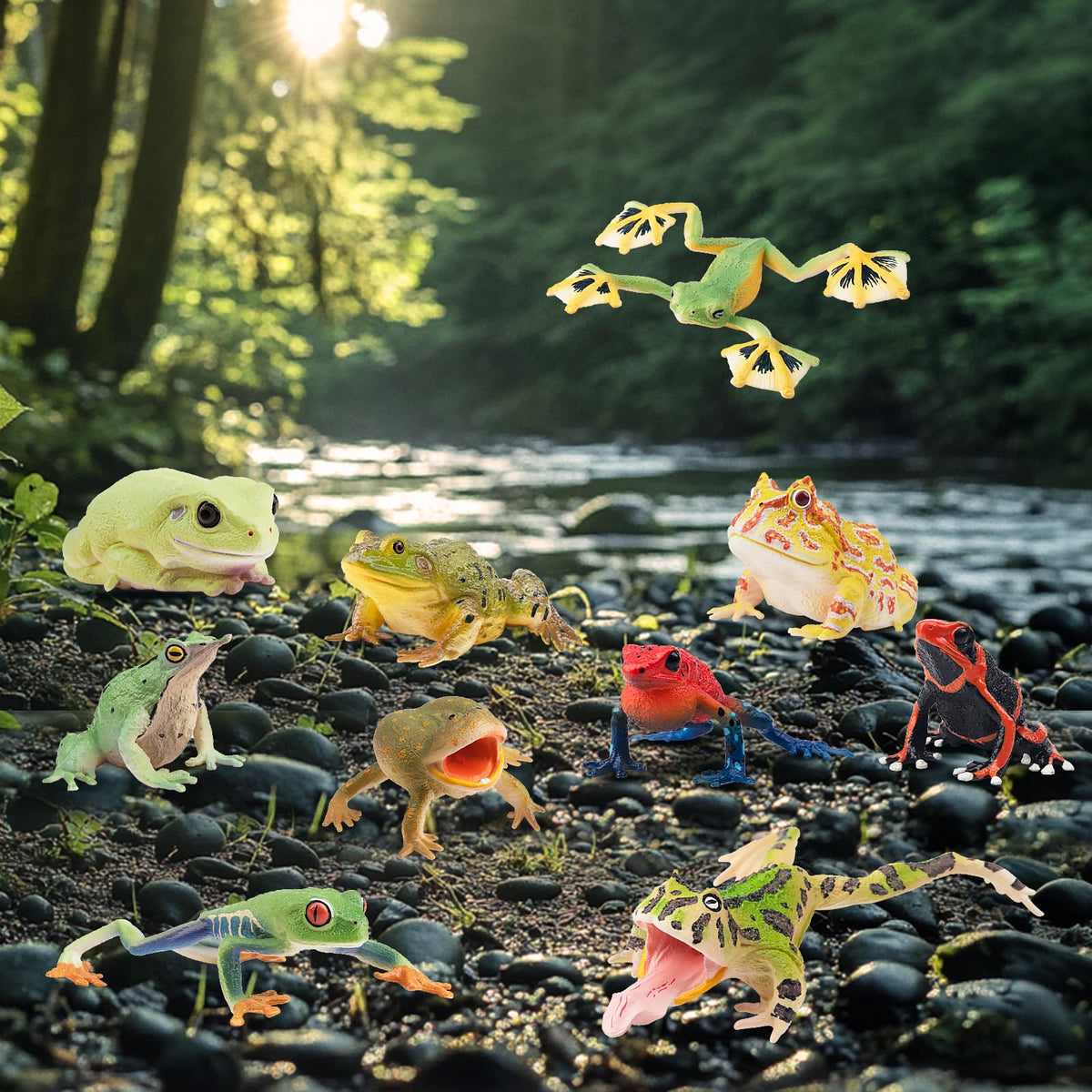 Toymany Darwin's Frog figure for rewards and games