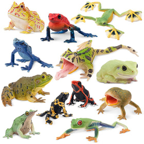 Toymany Surinam Horned Frog figure for classroom dioramas and displays