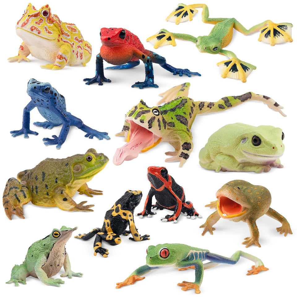 Toymany Surinam Horned Frog figure for classroom dioramas and displays