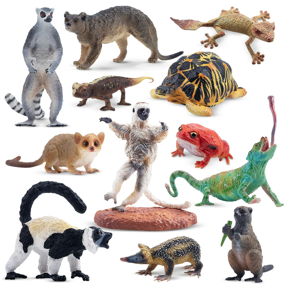 Toymany Radiated Tortoise figurine with lifelike texture for classroom display