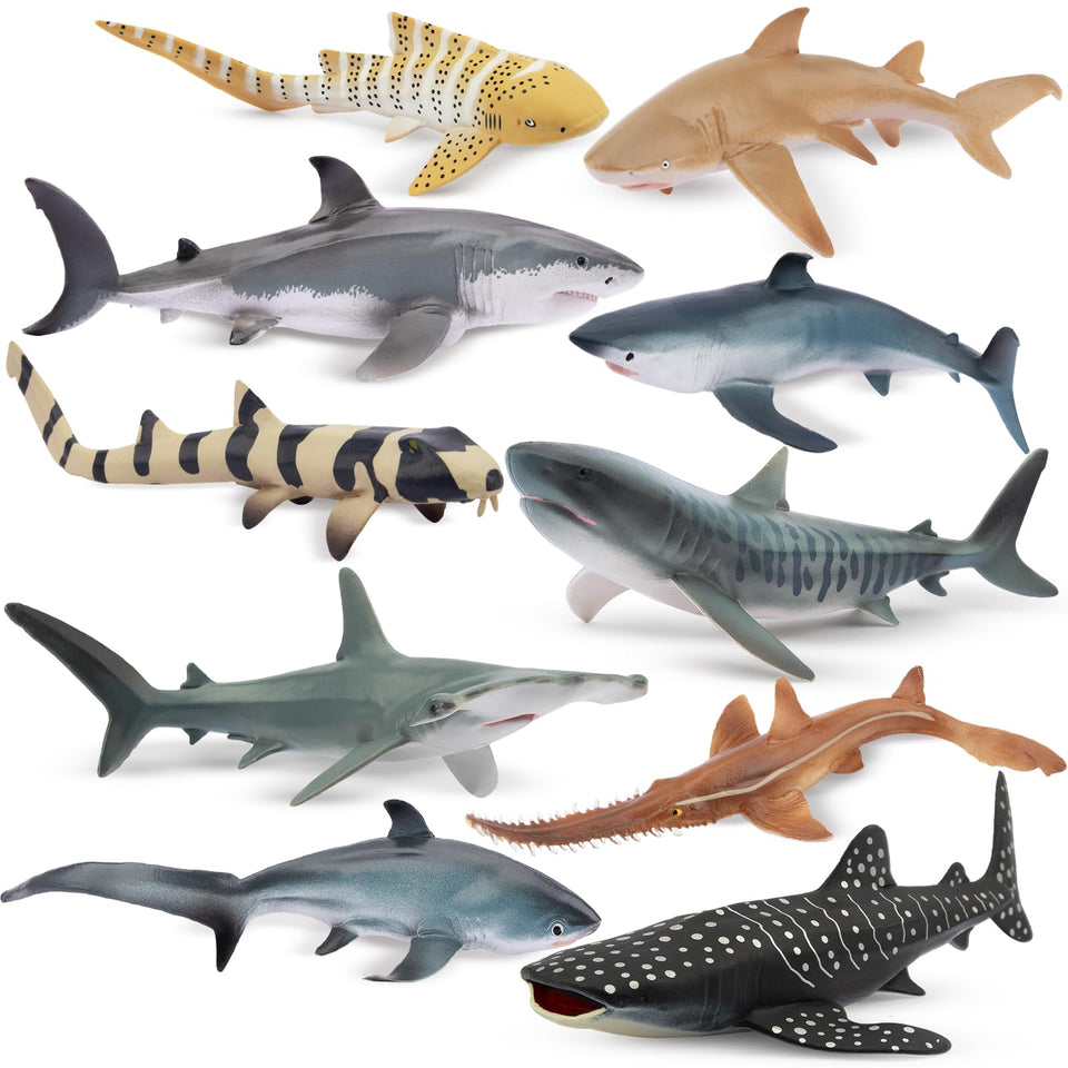 Toymany Great White Shark figure for bath time play and cake topping ideas.