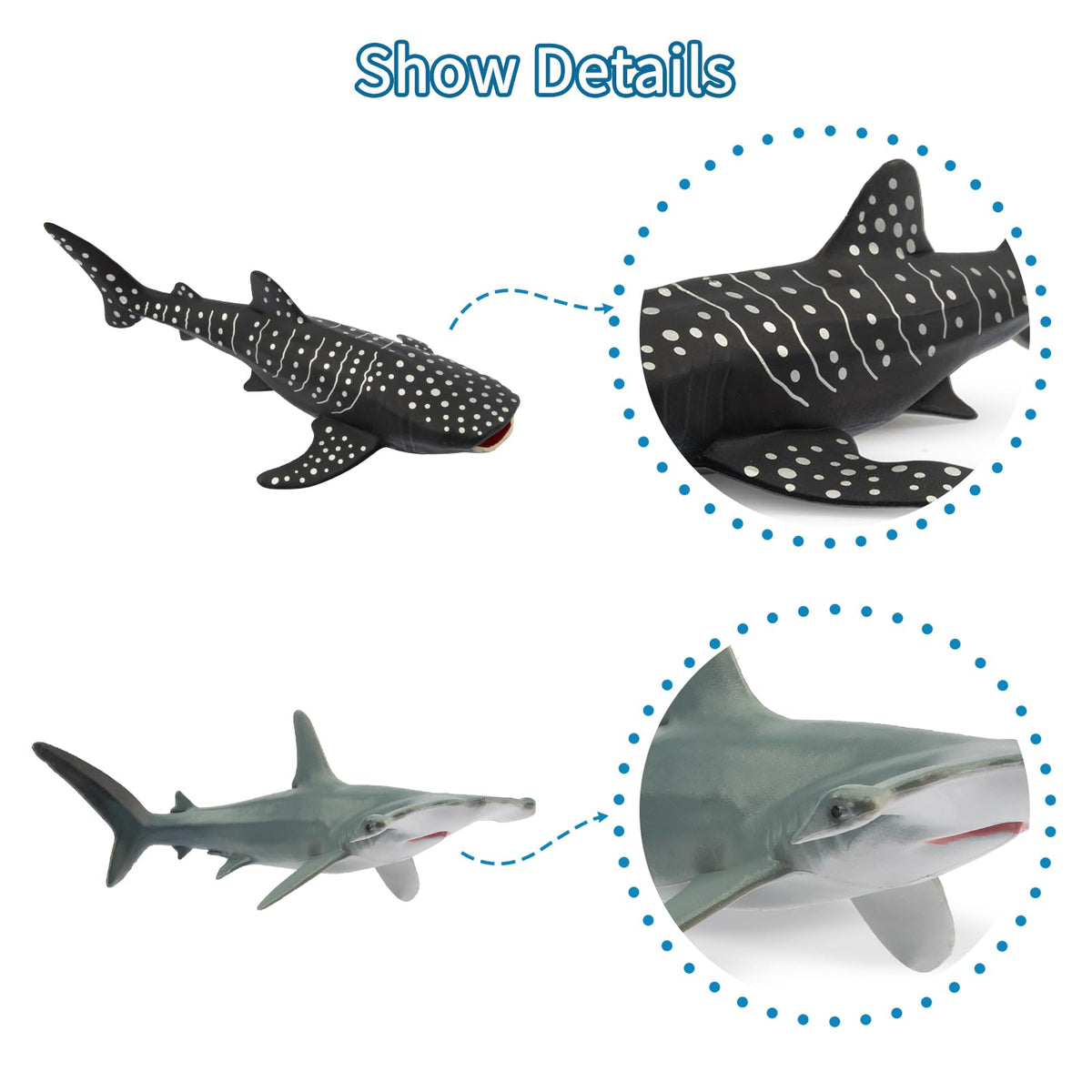 Toymany Tiger Shark toy for learning about ocean predators during play.