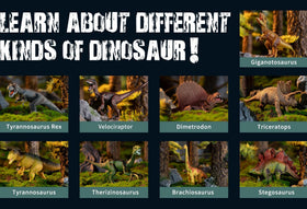 TOYSXYIN Velociraptor Dino for quick-mimic chases and role-play.