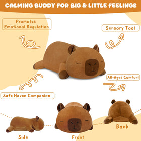 TOYSYM weighted capybara, a thoughtful gift for kids and adults.