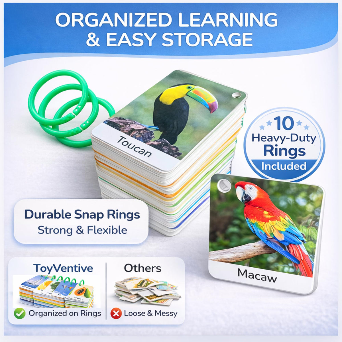 TOYVENTIVE gift-ready flash cards for 2-year-olds to expand vocabulary