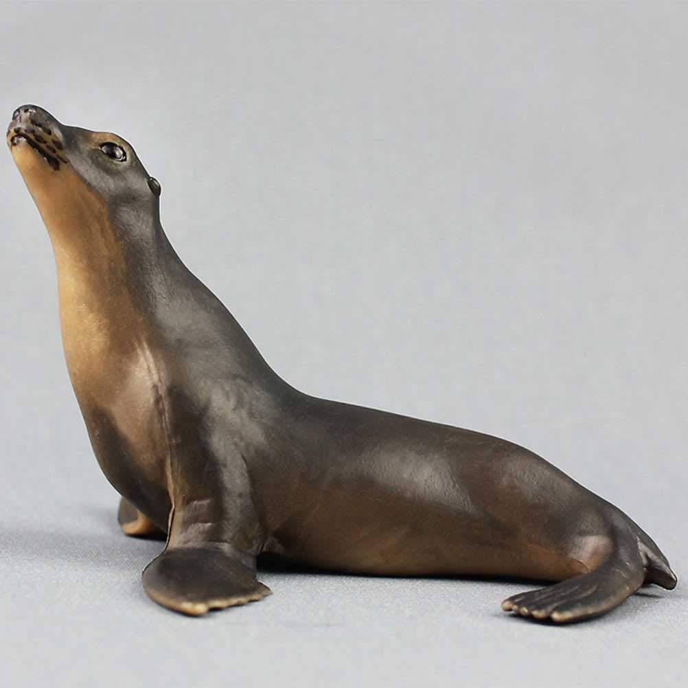 Toyvian sea lion classroom prop great for biology lessons and nature displays.