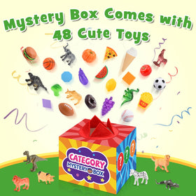 Sturdy Toyze storage box keeps play organized during on-the-go learning