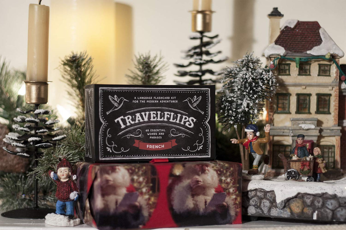 Travelflips flashcards in a portable box for travel and study