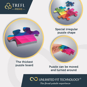 Trefl Disney 9000-piece puzzle giant layout ready for display after completion