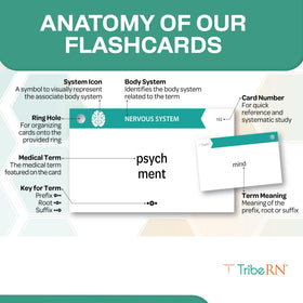 Tribe RN 500 flashcards: sturdy lift-off box with rounded dividers for protection.