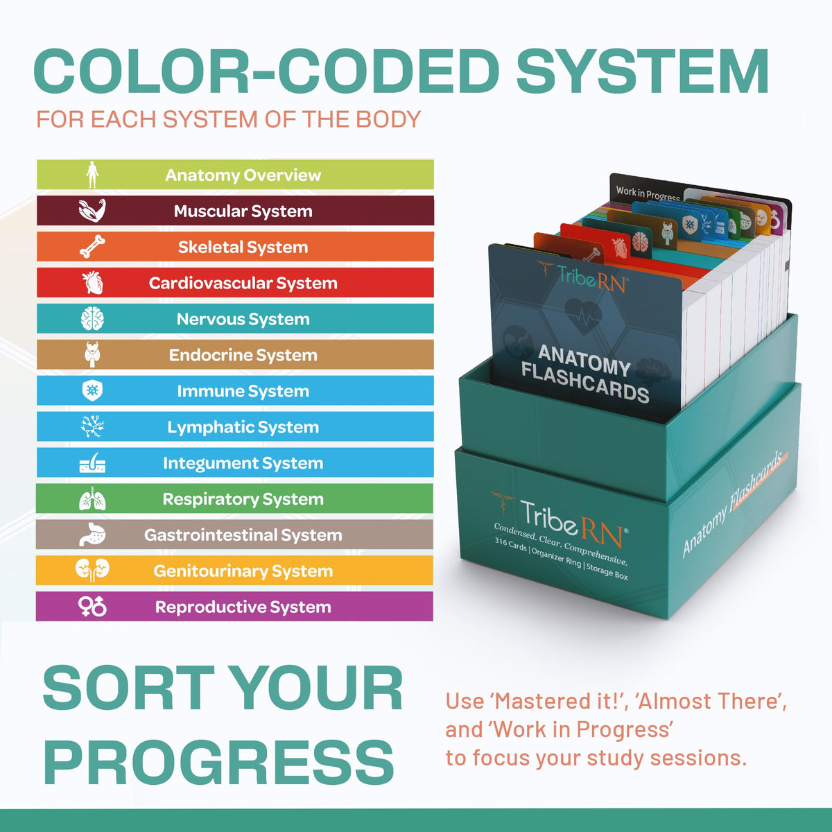 TribeRN durable flashcards resist wear for long-lasting study sessions.