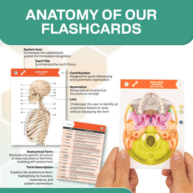 TribeRN flashcards support exam-focused study for quick recall.