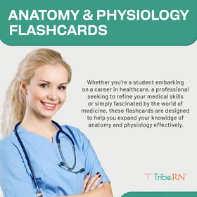 TribeRN flashcards show holes for ring binder portability.