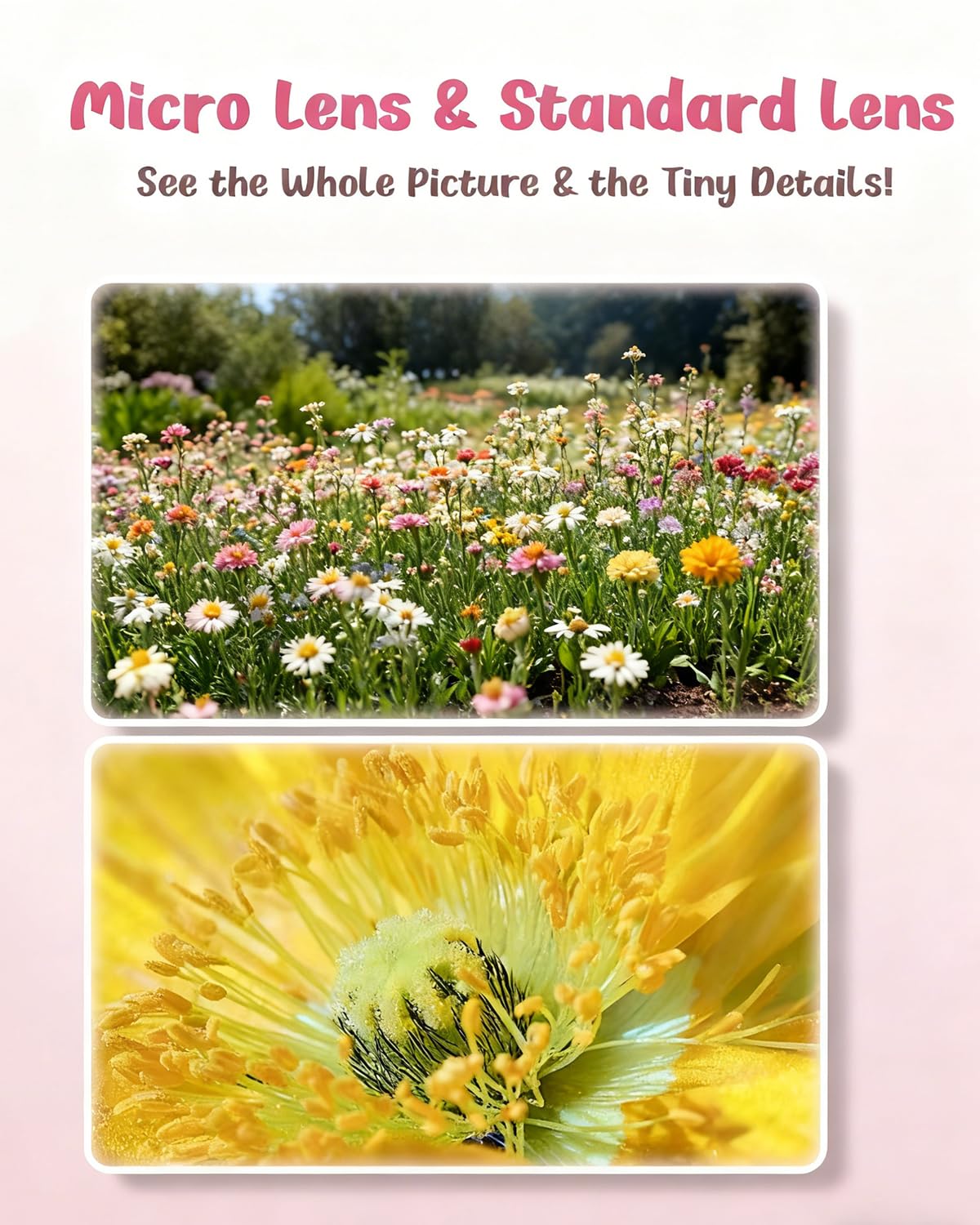 Trigowalt auto-focus delivers sharp detail during exploration