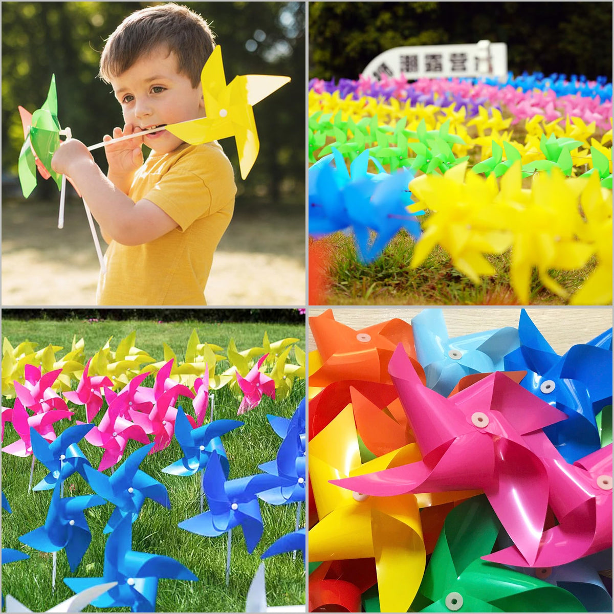Dark purple Tsocent pinwheels add bold garden accents.