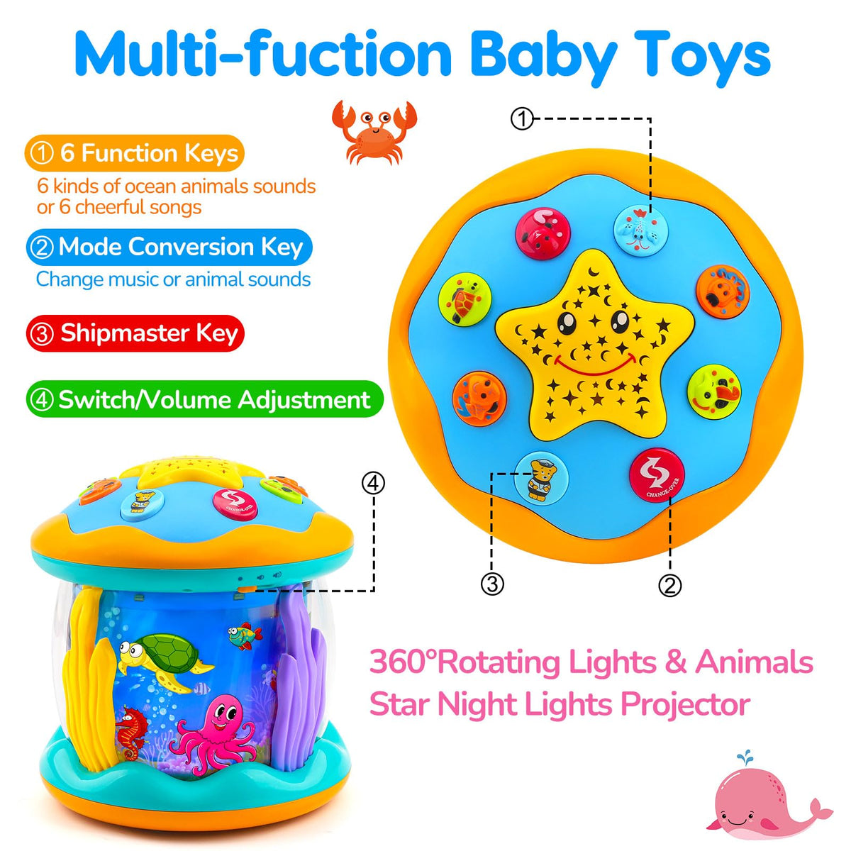 Tsomtto sea animals display with dolphins and octopus for visual exploration.