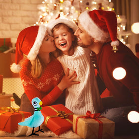 TSRDLVC pigeon plush makes a great gift for kids and fans
