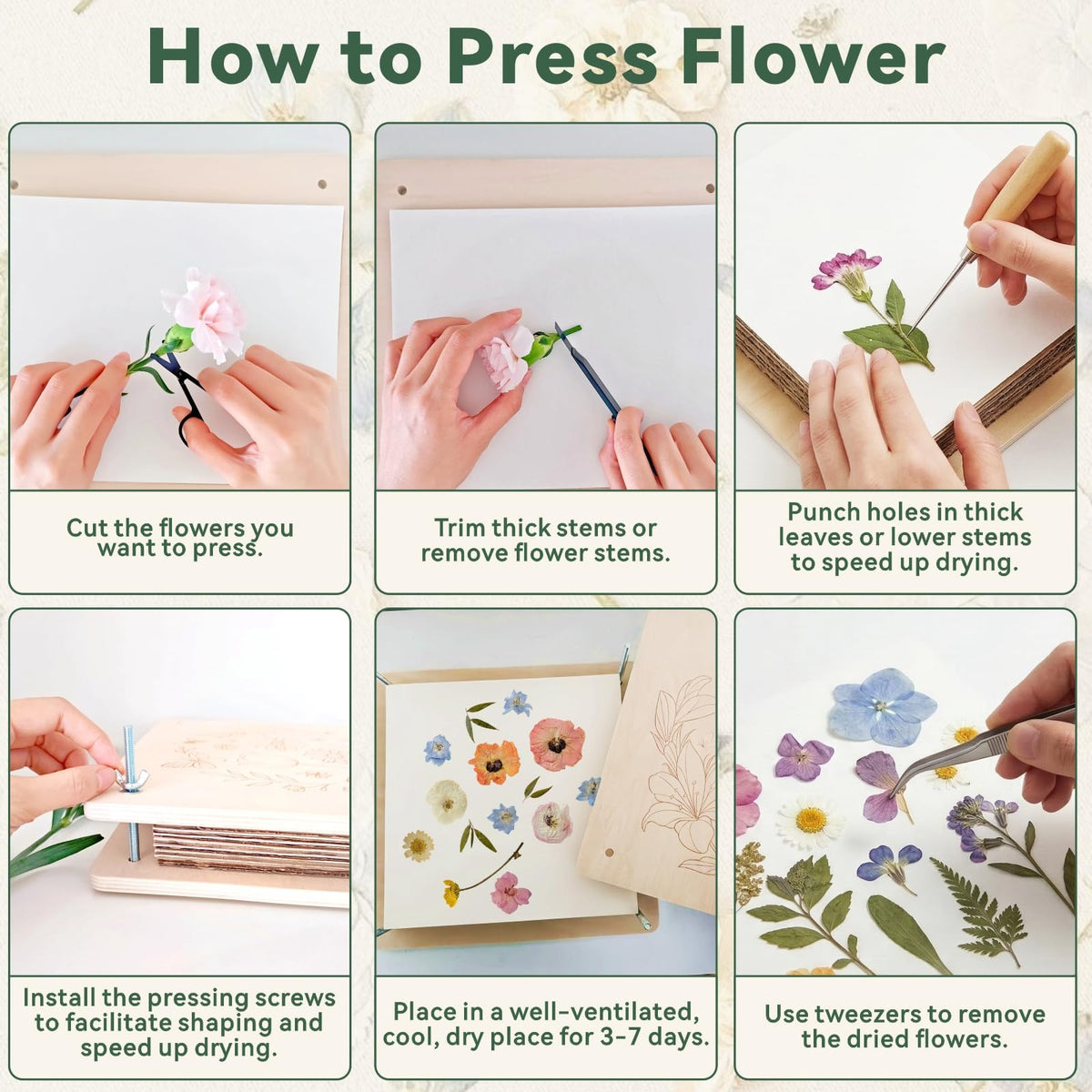 TTUGTTUG PET display frames included allow immediate showcasing of pressed blooms.