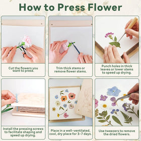 TTUGTTUG PET display frames included allow immediate showcasing of pressed blooms.