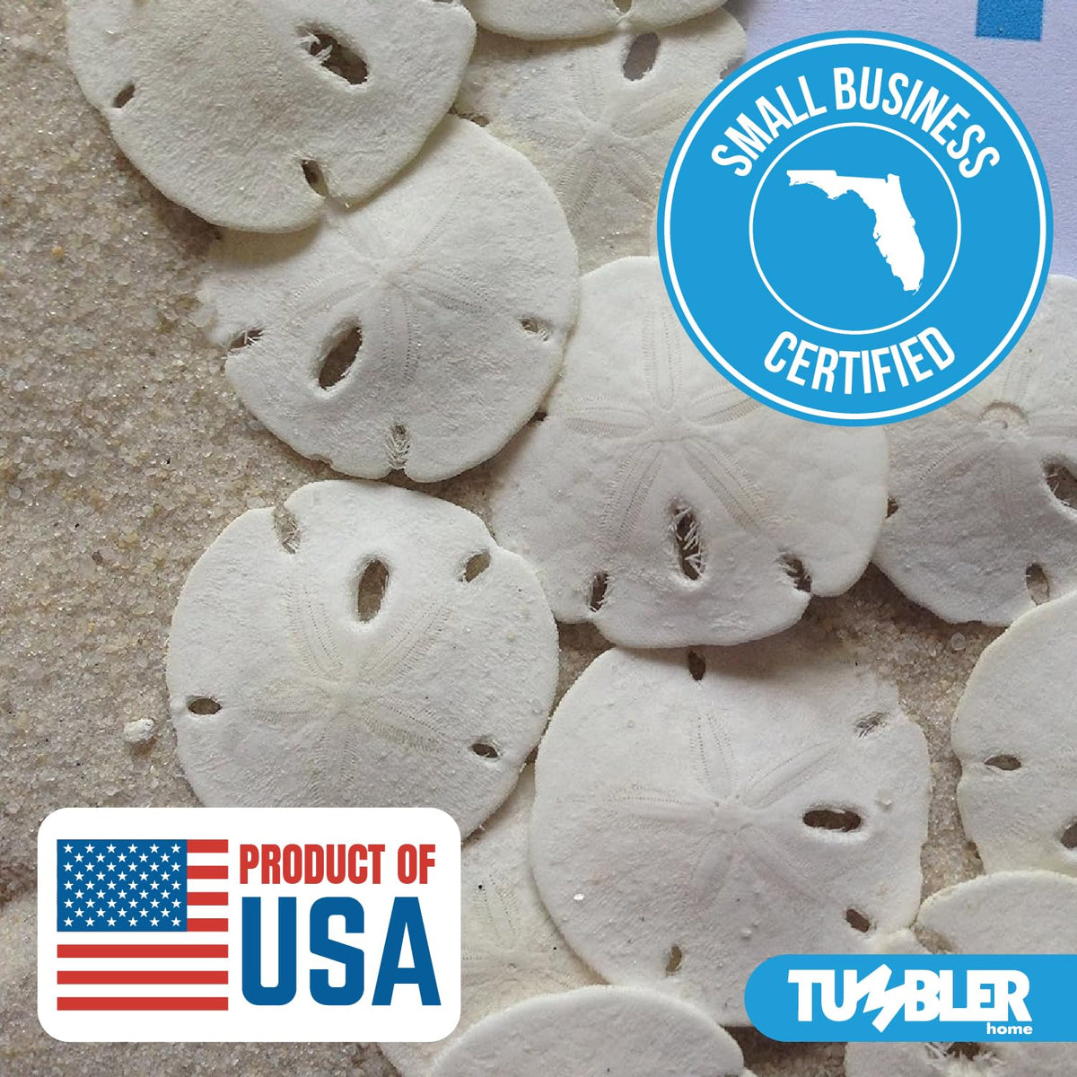 Tumbler Home sand dollars for crafts and resin art projects