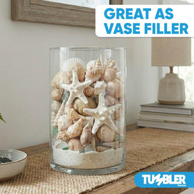 Tumbler Home terrarium and aquarium sand provides stable, natural-looking substrate.