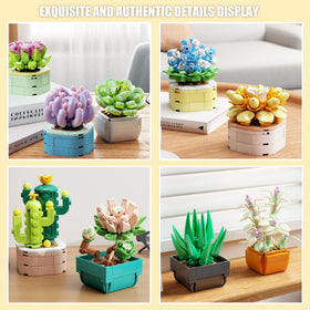 TYCOLE aloe plant detail highlights vibrant greens for bright desk decor
