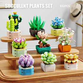 TYCOLE 9-in-1 succulents cactus detail for realistic texture in compact display