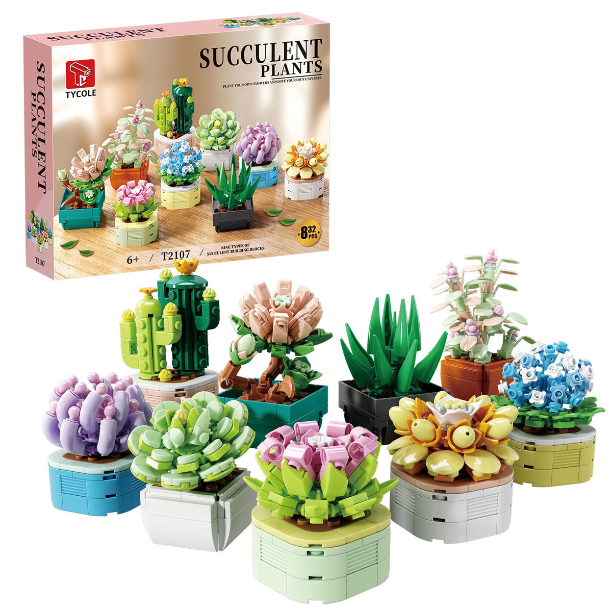 TYCOLE 9-in-1 tiny flowers succulents set hero display for vibrant decor
