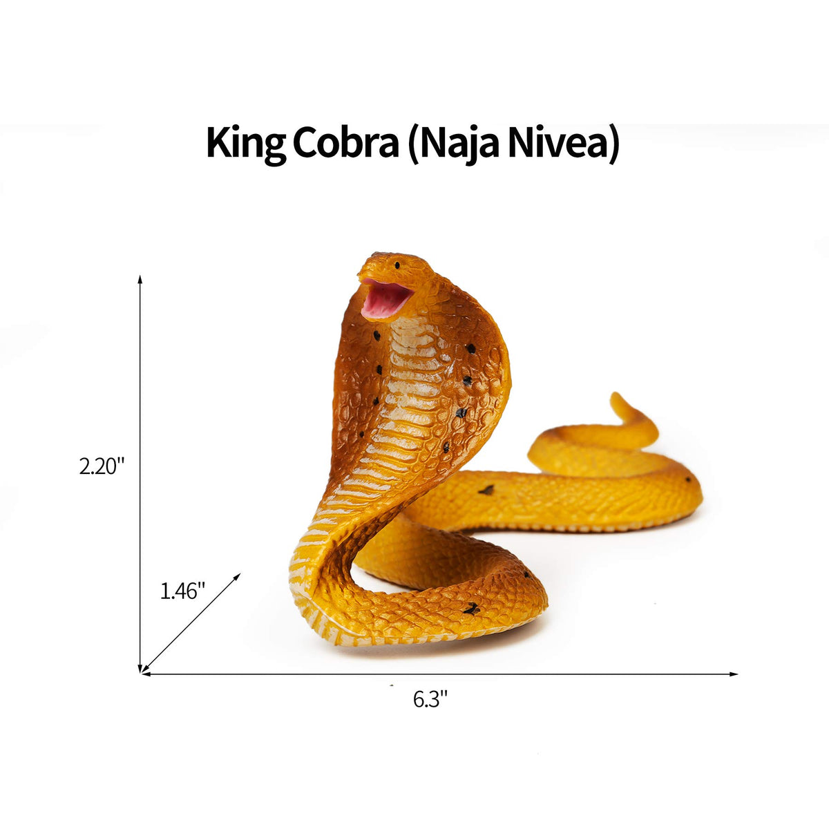 UANDME California Kingsnake figurine for engaging educational visuals and displays.
