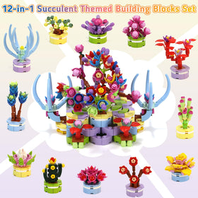 UAYNFY succulent block kits with guides for simple at-home building